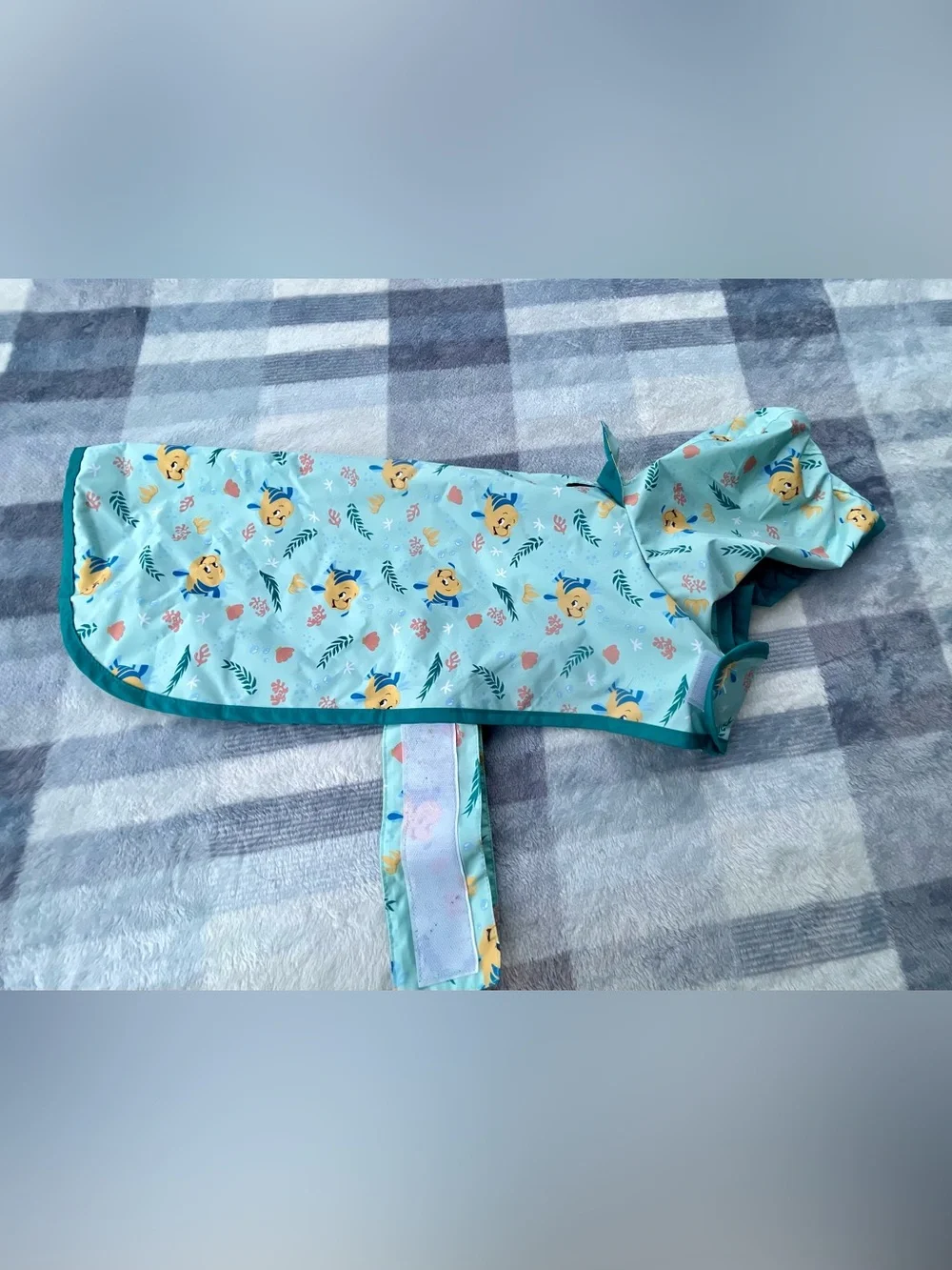 Set of dog clothes